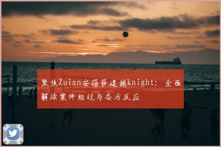 聚焦Zuian安蓓萨逮捕knight：全面解读案件经过与各方反应