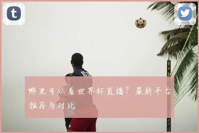 哪里可以看世界杯直播?最新平台推荐与对比